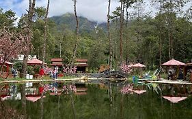 Supercamp Sakura Hills
